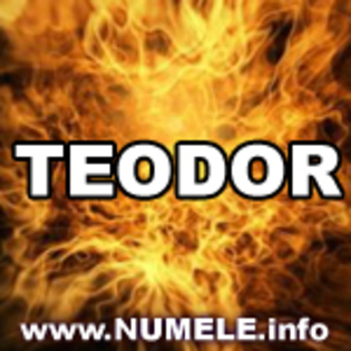 236-TEODOR avatare cu orice nume