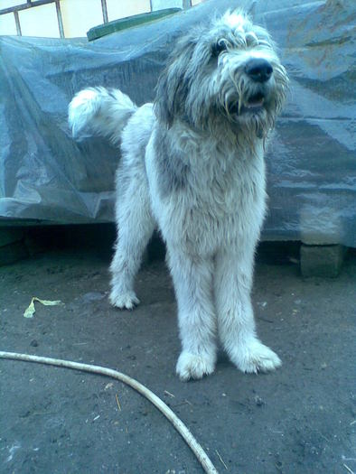 Imag049; artan acum la 11 luni
