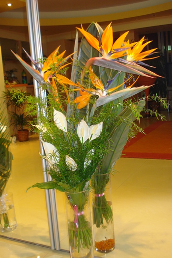 MULTUMESC PENTRU FLORI!!