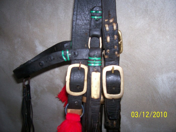 Picture 1105 - capestre