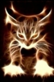 29370596_NCOHZPBUQ - diverse