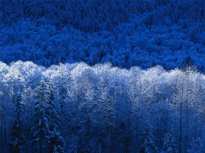 Winter - poze cu peisaje