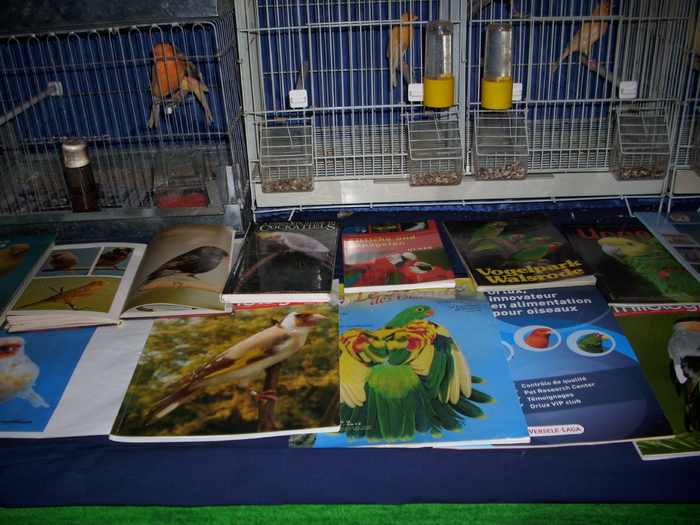 expo Craiova 2011 - CRAIOVA expo -judeteana 2011-canari