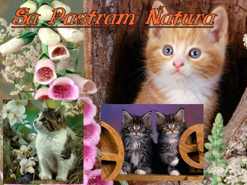 Sa Pastram Natura 35 - Postere Sa Pastram Natura