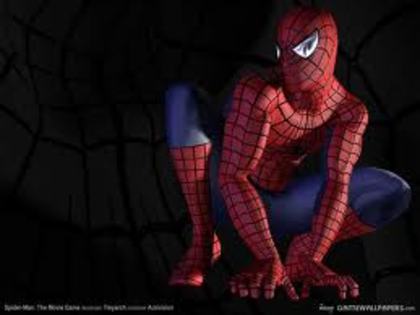 images (27) - spider man