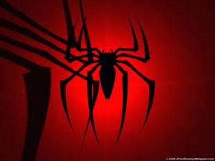 images (37) - spider man