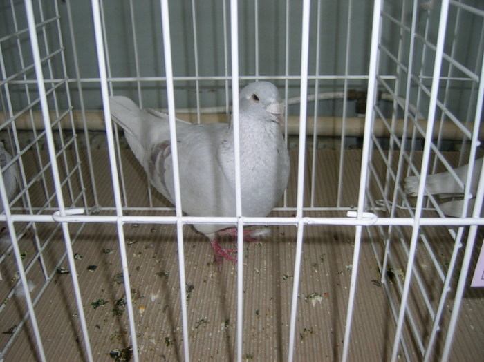 SANY0362
