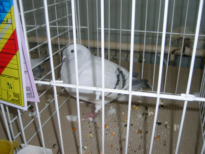 SANY0364