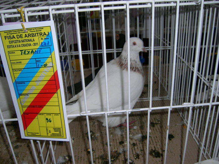 SANY0367