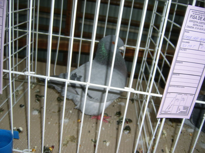 SANY0372