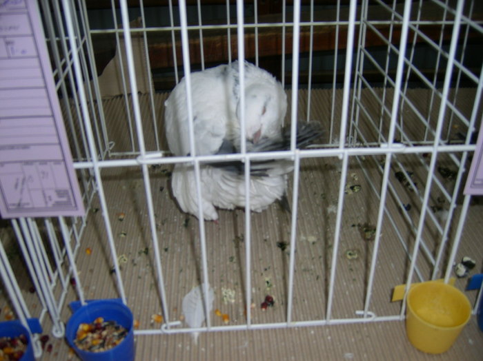SANY0373