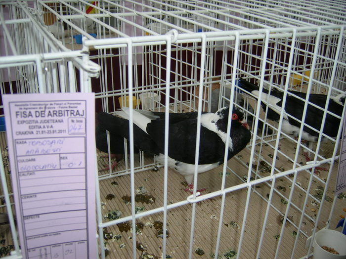 SANY0374