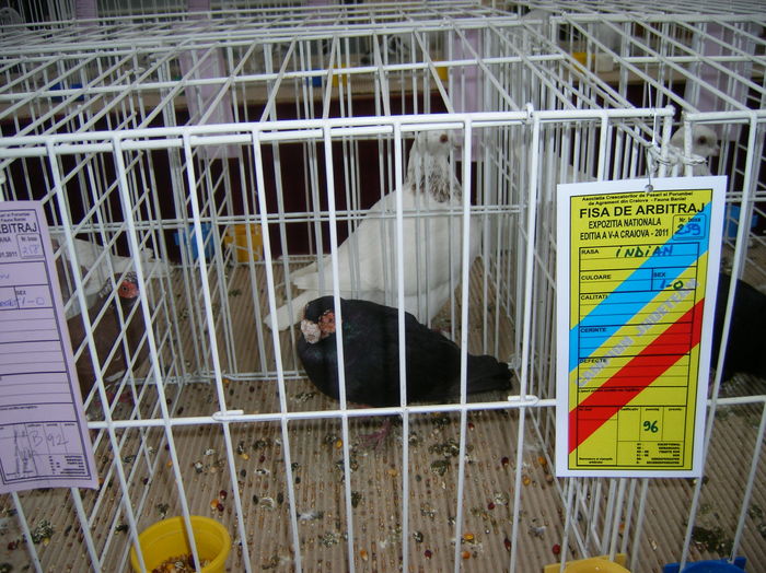 SANY0382