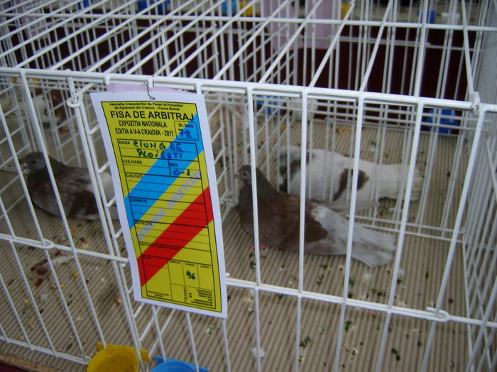 SANY0406