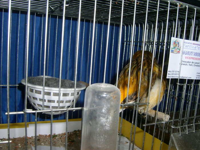 SANY0409