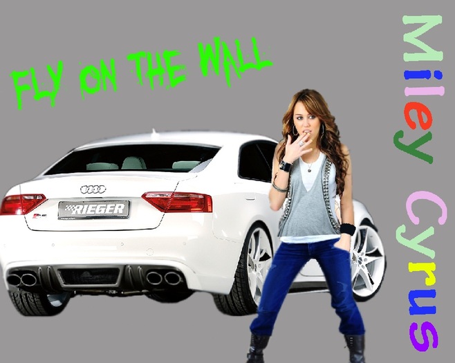 Miley (9222) - Fly on the wall