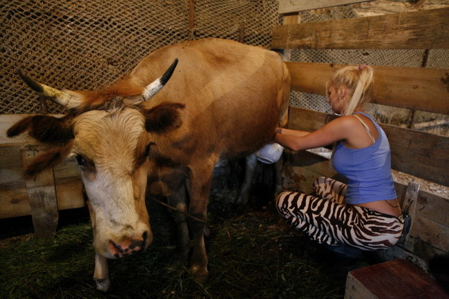 simona-sensual-va-evada-din-delta-iar-liviu-varciu-va-fi-legat-de-caruta-la-ldquo-serviti-va-rog-rdq