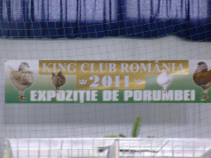 DSCF3693 - Expo King club Roman Jimbolia 22 01 2011
