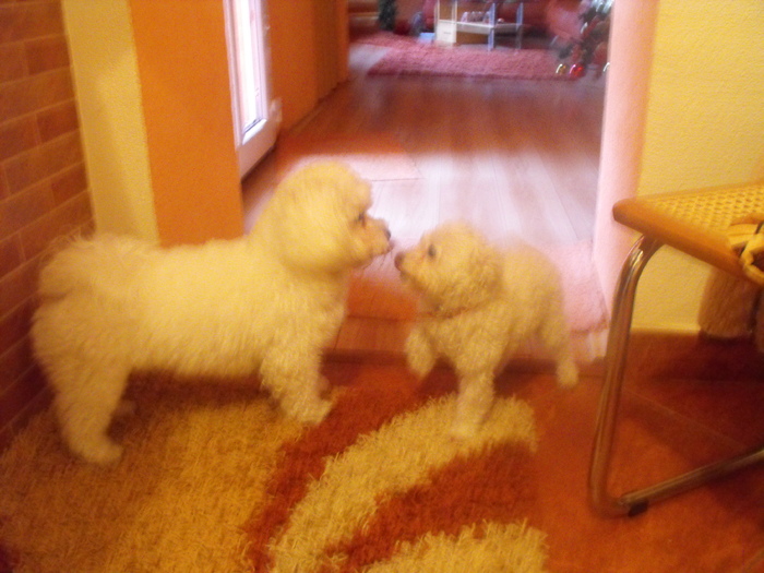 Ricky si Molly(mama luiJimmy)