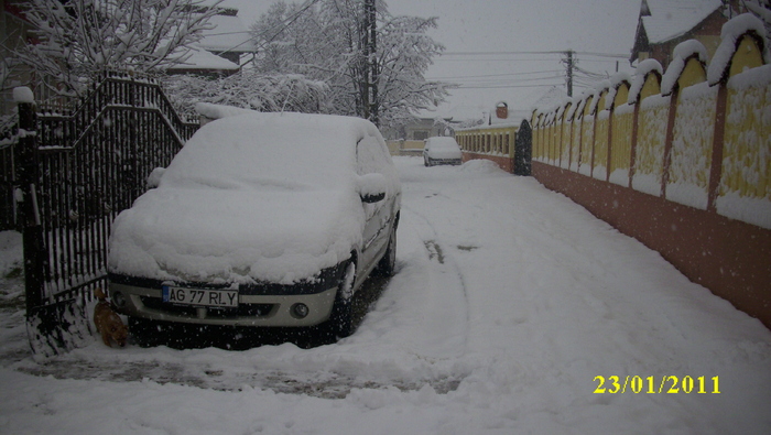 IMG_4650 - ninge 2011