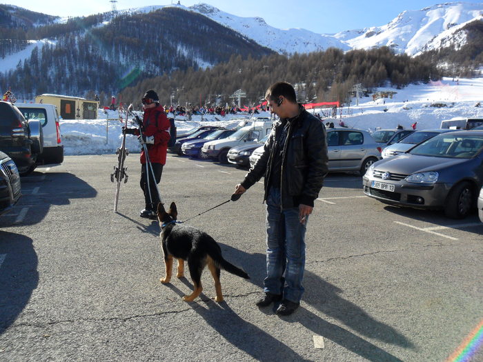 MORYS; LA AURON ENERVAT DE SKIURILE UNUI MOS:))))
