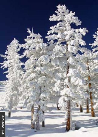 Snow