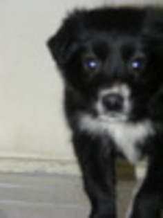 14042075_GOTXHBFMY - pentru soseono 19