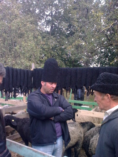 Image0207 - POPOUTI EXPOZITIE SI TARG  1 mai 2011