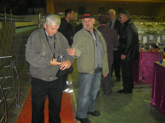 mergem sau ...... - EXPO  2010  SANICOLAU MARE