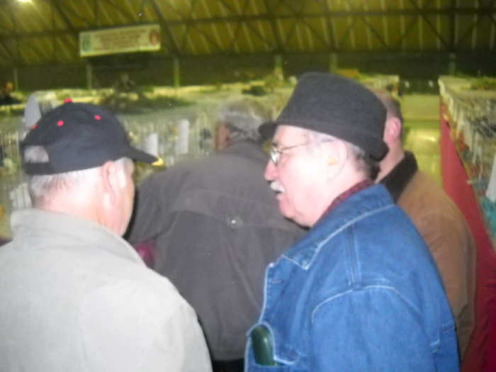 plec cu el - EXPO  2010  SANICOLAU MARE