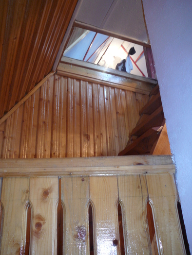 P1240903