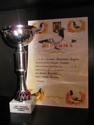 Loc I judetean "552" - rezultate Virvoreanu Bogdan