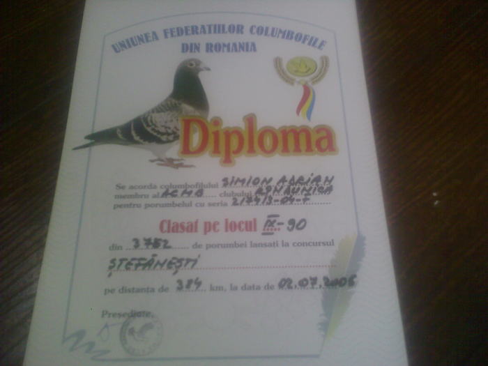 Fotografii-0011 - diplome