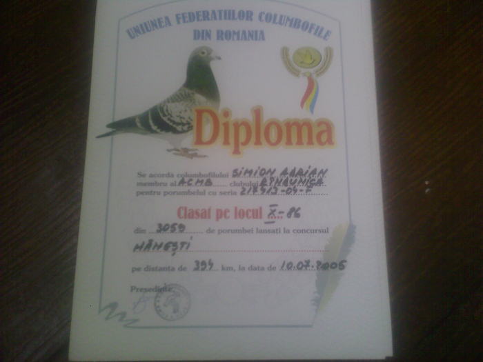 Fotografii-0012 - diplome