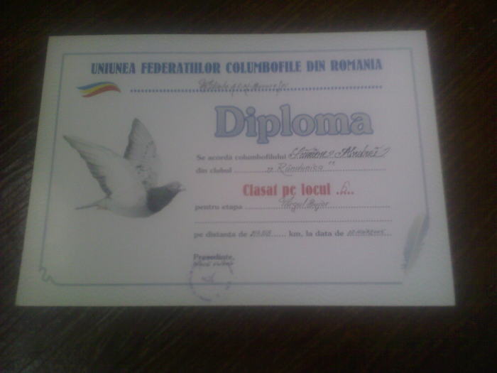 Fotografii-0016 - diplome