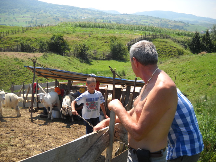 stau la rand la.....muls - EU cu MINE