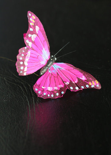 Fluture roz