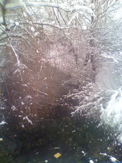 pe drumul catre casa