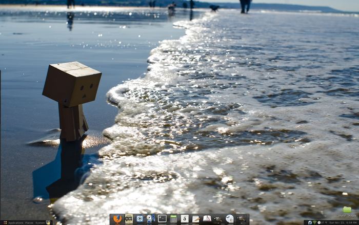 29436183_BRZPIQYHK - dambo cutiuta