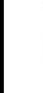 174616_156685131041764_5280806_n_004