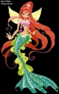 winx ro79 - Winx