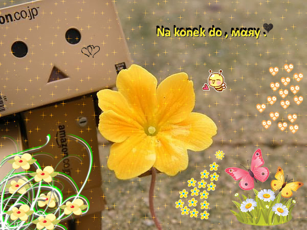 0056491333 - dambo cutiuta