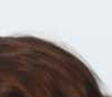 zuria-vega-y-angelique-boyer-300x350_003