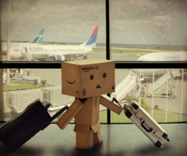 4534937790_6dc9f01103_z_thumb - dambo cutiuta