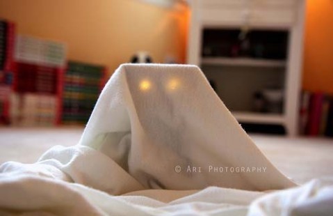 danbo52 - dambo cutiuta