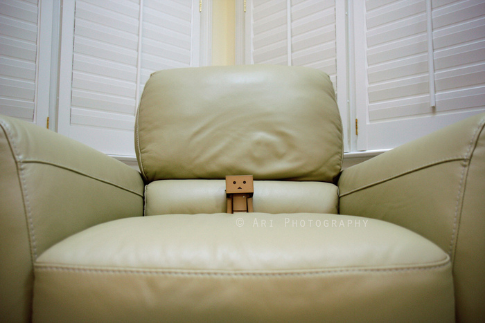 dambo-0011 - dambo cutiuta