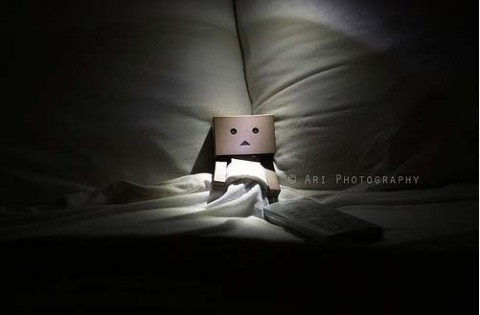 danbo24 - dambo cutiuta