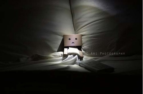 danbo24