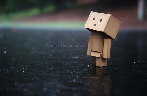 danbo42