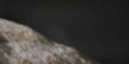 10858_206996518318_202218133318_4154798_6451133_n_003